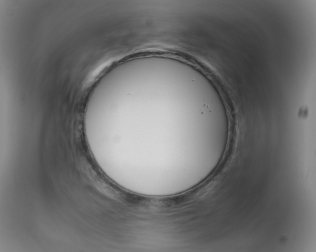 X0000112851355200908211021