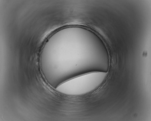 X0000112851356200908211021