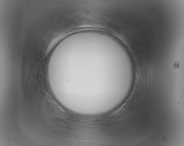 X0000112851357200908211021