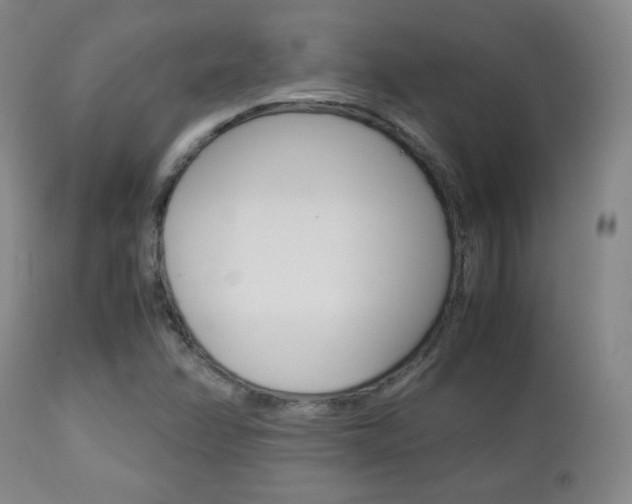 X0000112851358200908211020