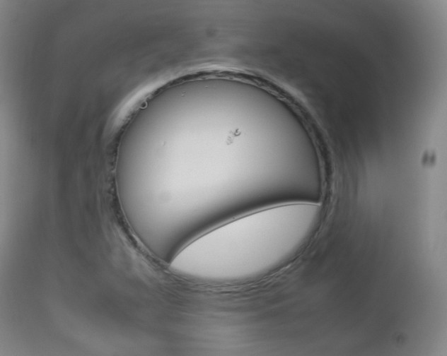 X0000112851359200908211020