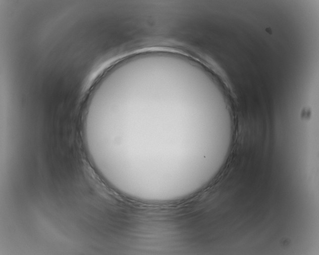 X0000112851360200908211020