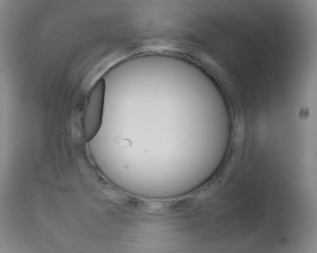 X0000112851361200908211020