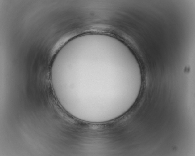 X0000112851362200908211020