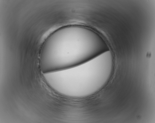 X0000112851363200908211020