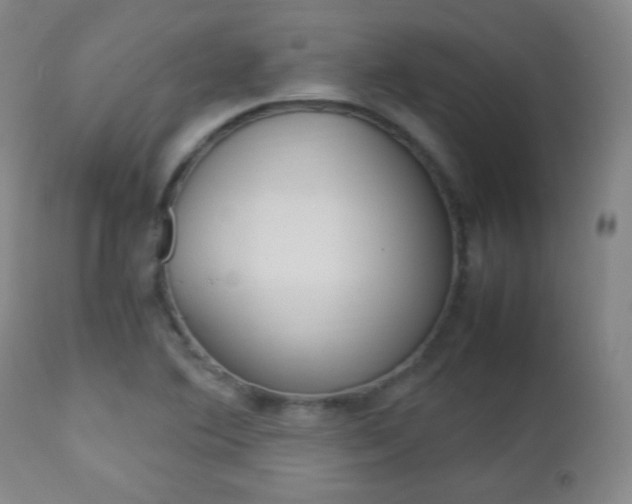 X0000112851364200908211020
