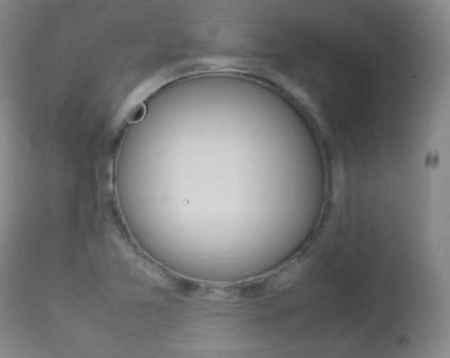 X0000112851365200908211020