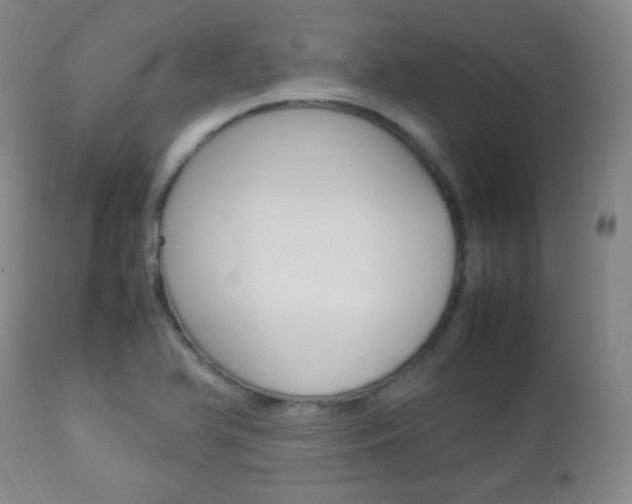 X0000112851366200908211020