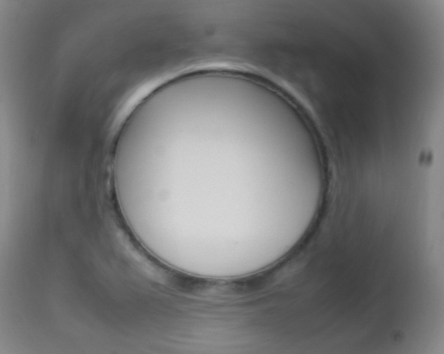 X0000112851367200908211020