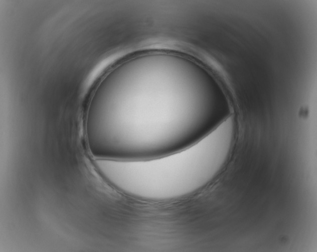 X0000112851368200908211020