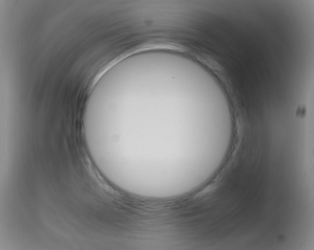 X0000112851369200908211020