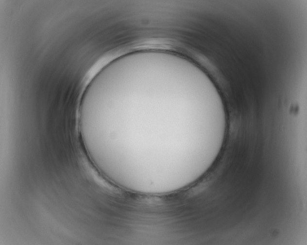 X0000112851370200908211020