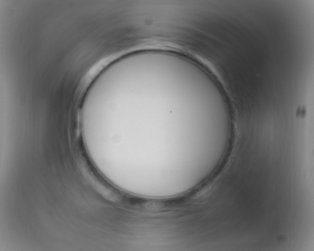 X0000112851371200908211020