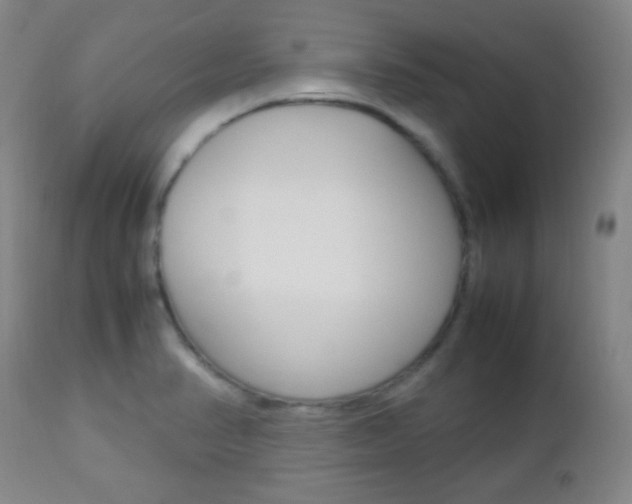 X0000112851374200908211020