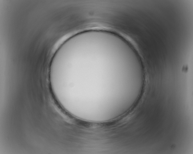 X0000112851375200908211020