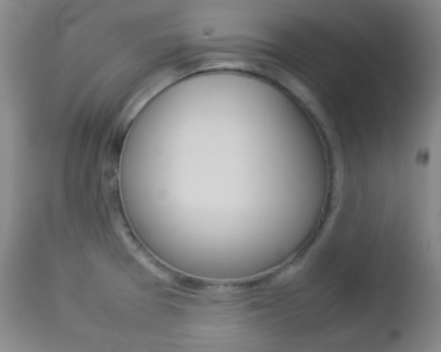 X0000112851377200908211020