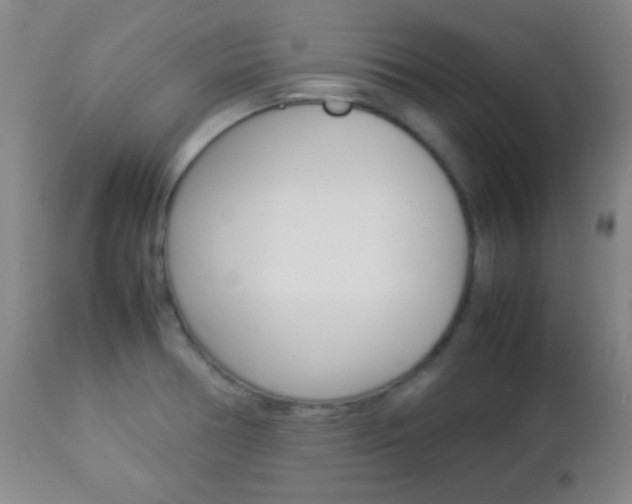 X0000112851378200908211020