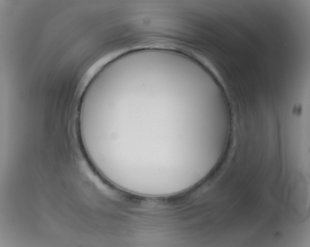 X0000112851379200908211020