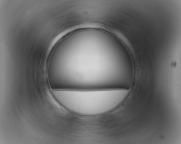 X0000112851380200908211020