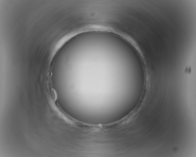 X0000112851381200908211020