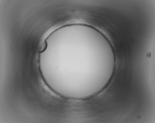 X0000112851382200908211020