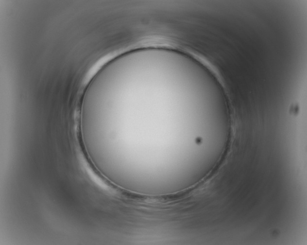X0000112851383200908211020