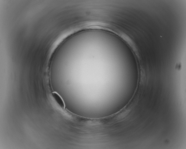 X0000112851384200908211020