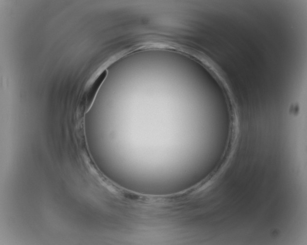 X0000112851385200908211020