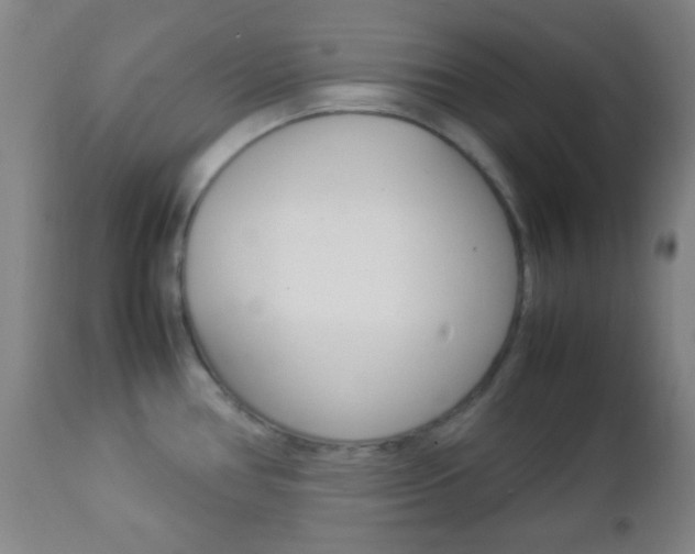 X0000112851386200908211020