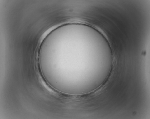X0000112851387200908211020