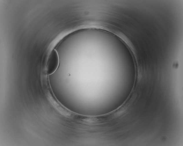 X0000112851388200908211020