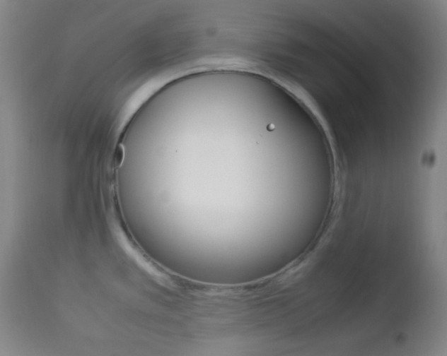 X0000112851389200908211020