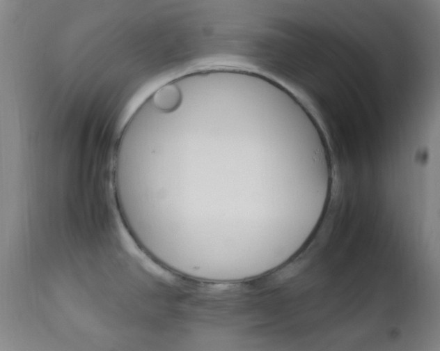 X0000112851390200908211020