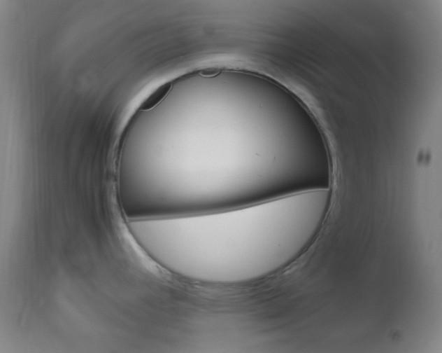 X0000112851392200908211020