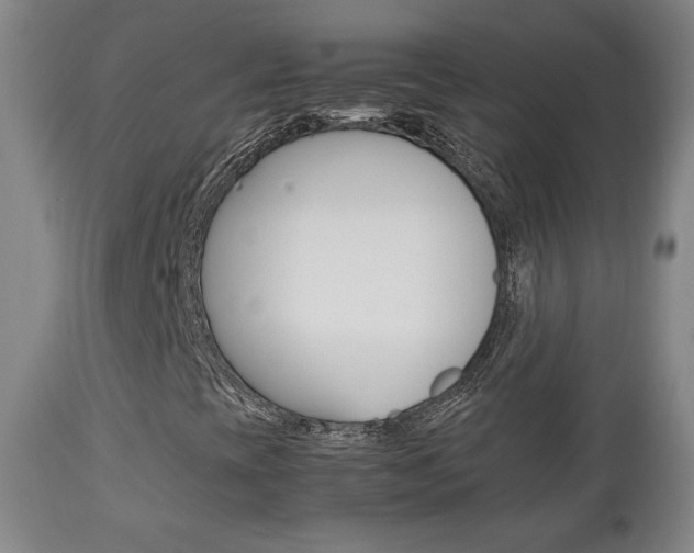 X0000112851393200908211019