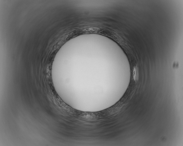 X0000112851395200908211019