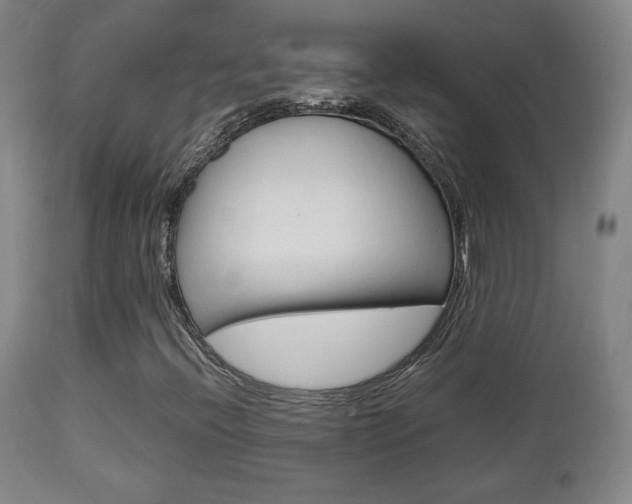 X0000112851396200908211019