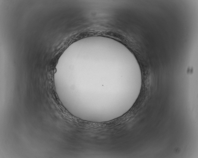 X0000112851397200908211019