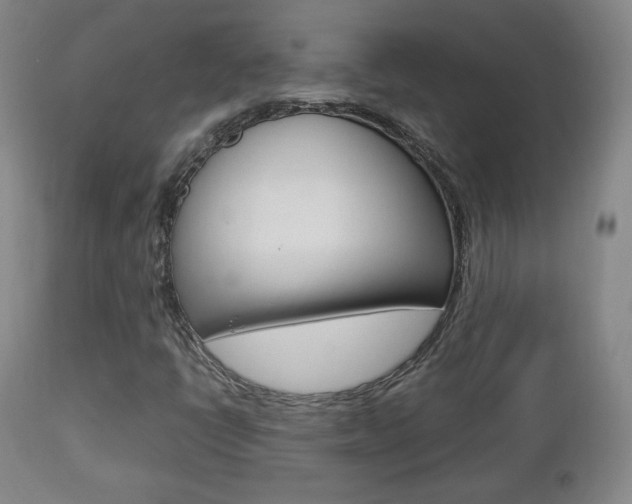 X0000112851398200908211019