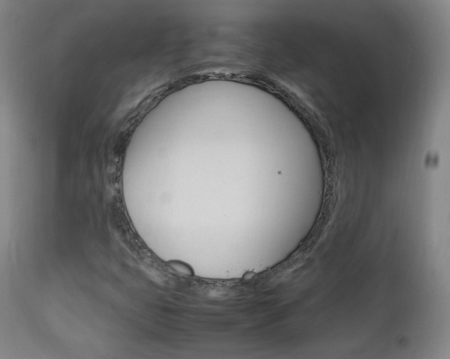 X0000112851399200908211019