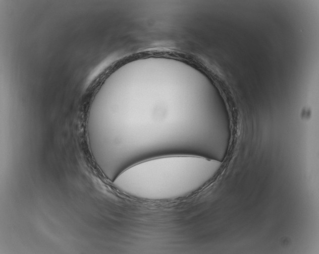 X0000112851400200908211019