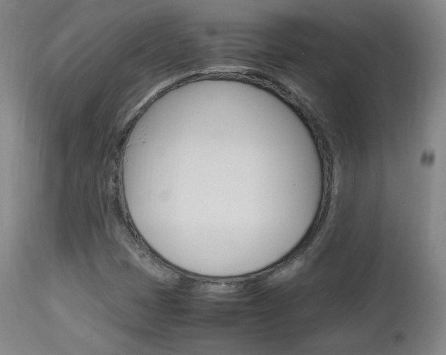 X0000112851401200908211019