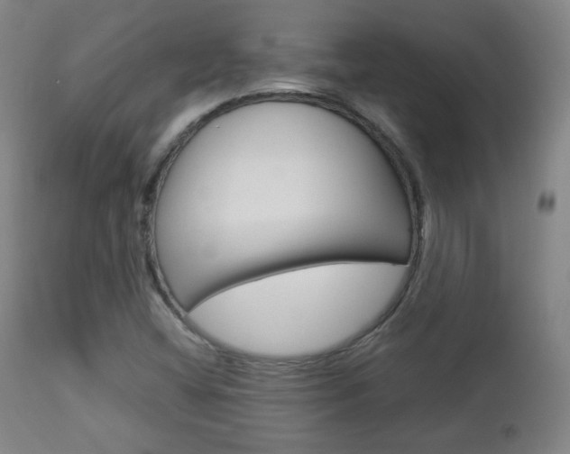 X0000112851404200908211020