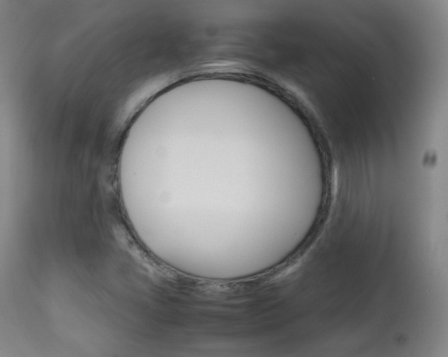X0000112851405200908211020