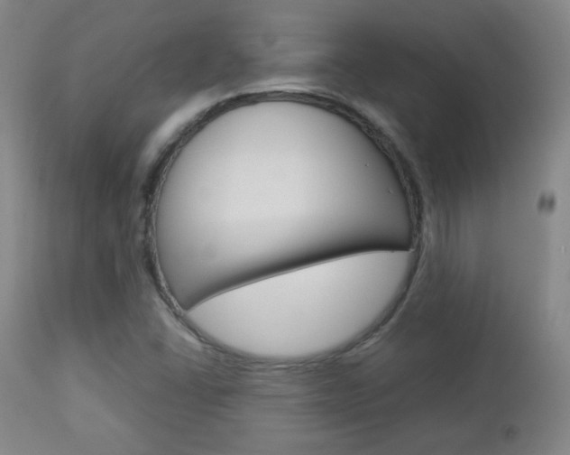 X0000112851406200908211020