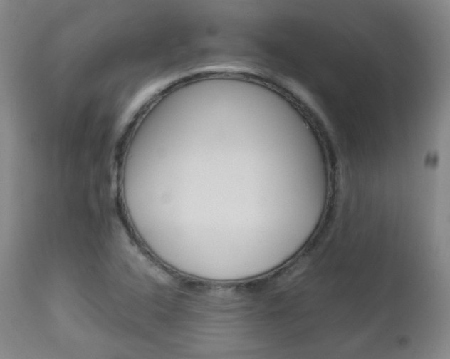 X0000112851408200908211020