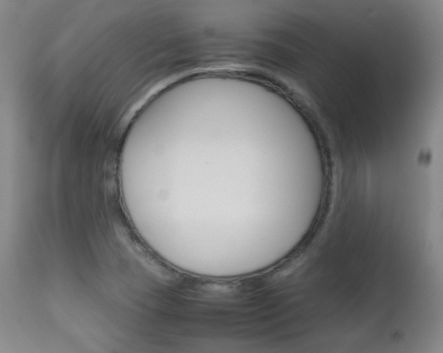 X0000112851409200908211020