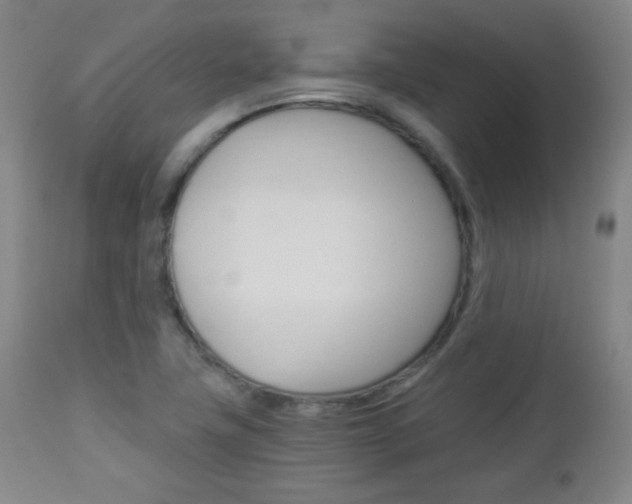 X0000112851411200908211020
