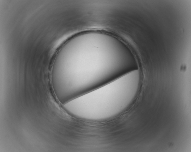 X0000112851412200908211020