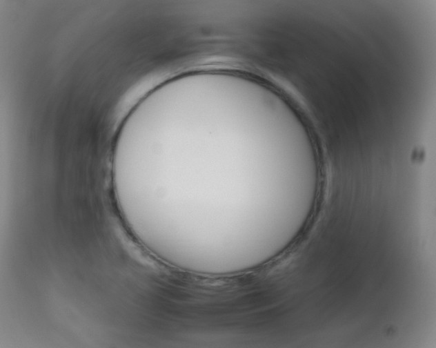 X0000112851413200908211020